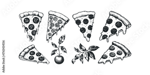 Hand Drawn Pepperoni Pizza Slices and Tomato Sprig Collection