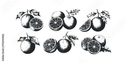Oranges with leaves and slices on white