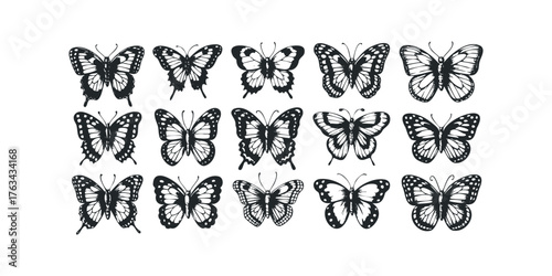 Collection of Silhouettes of Twelve Different Butterflies