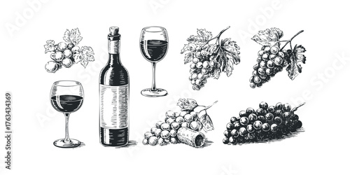Sketch Elements of Grapes and Wine Bottle With Glasses