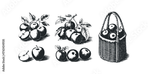 Orchard harvest of apples in a basket and on branches