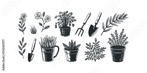 Botanical drawings of plants and gardening tools