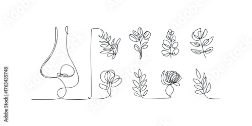 Continuous line drawings of botanical elements and human profile