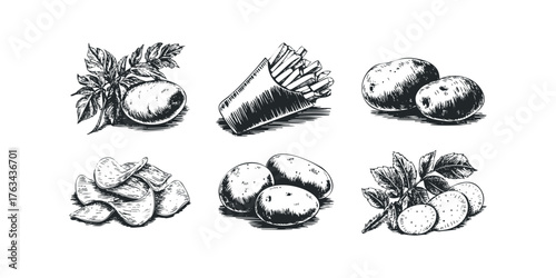 Hand Drawn Potato and Chip Collection
