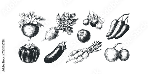 Collection of Hand Drawn Vegetables and Produce