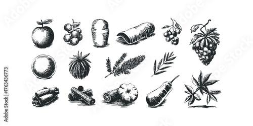 Collection of Hand Drawn Food and Botanical Elements