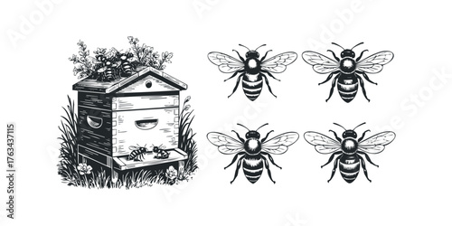 Woodcut Style Honey Bees and Beehive in Meadow