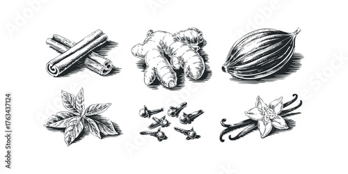 Collection of common spices and herbs with detailed linework shading