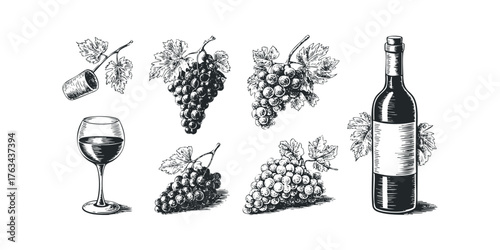 Grape bunch collection with wine glass and bottle