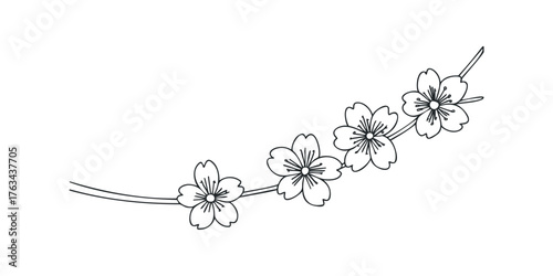 Delicate hand-drawn cherry blossom branch in bloom