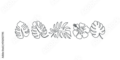 Tropical leaves and hibiscus flower outline