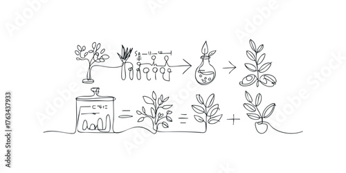Continuous line drawing showing plant growth process and experiment