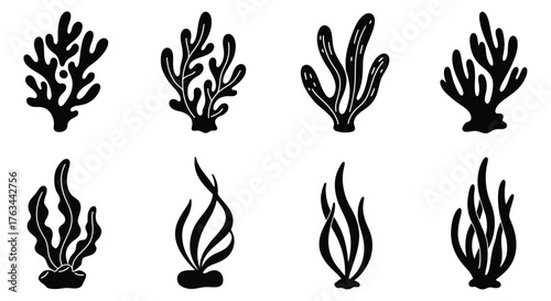 Black and white illustration of various coral and seaweed shapes