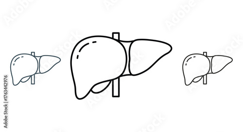 Simple line illustration depicting the human liver in various orientations