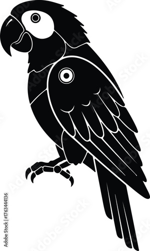 Silhouette parrot illustration shows a bird in profile vector illustration