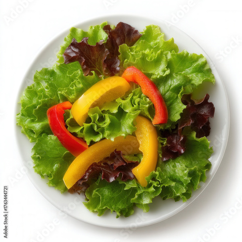 salad in white plate isolated