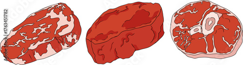 Colorful vector illustrations of various raw meat cuts, with detailed textures