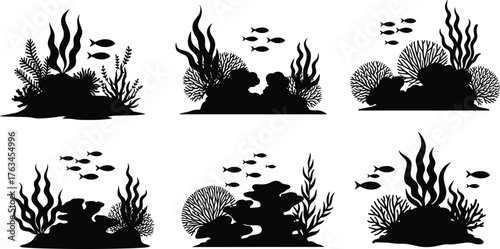 Underwater coral reef silhouette illustration, marine biodiversity scene, ocean fish, seaweed, black vector set, aquatic ecosystem, nature graphic design
