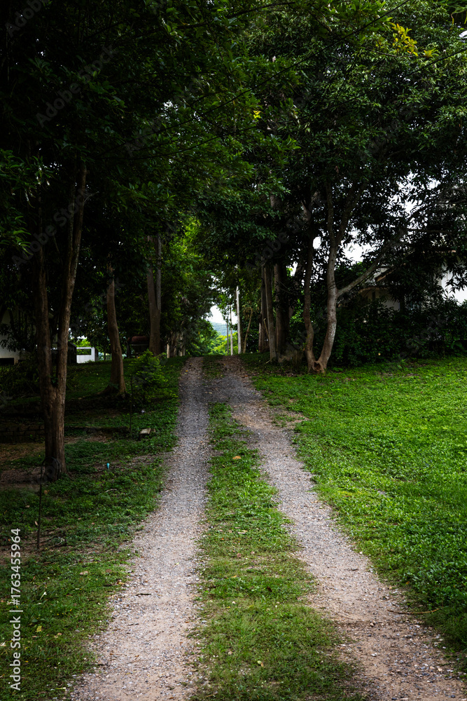 Obraz premium Grass Path For Vehicle Tracks