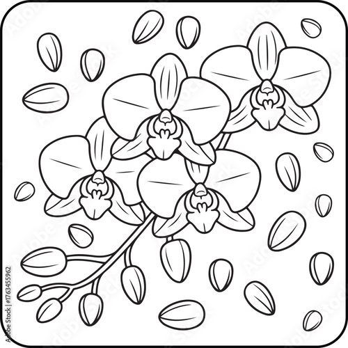 Orchid Flower Coloring Page for Kids and Adult | Elegant Orchid Bloom Line Art Illustration | Printable Botanical Coloring Sheet for Relaxation, Mindfulness, and Stress Relief Art, Vector Illustration