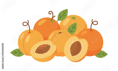 Fresh summer apricots and peaches fruit illustration