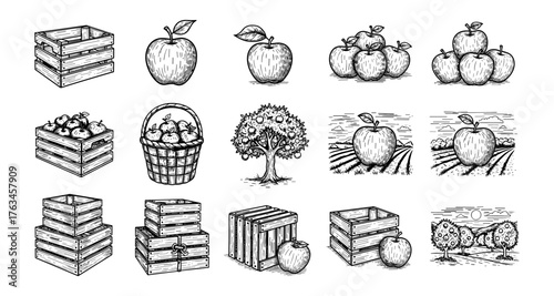 Hand drawn apple harvest collection with wooden crates and orchard scenes