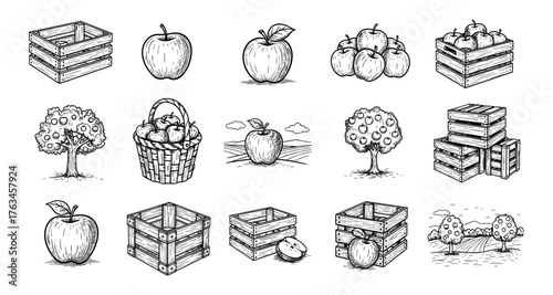 Hand drawn apple and crate collection with trees and basket