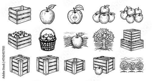 Hand-drawn apple and crate collection with vintage farm scene