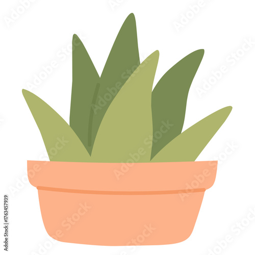 Aloe Vera in Cute Flat Style for Home Botanical Art