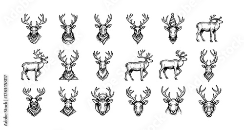 Vintage deer and elk heads in hand drawn style