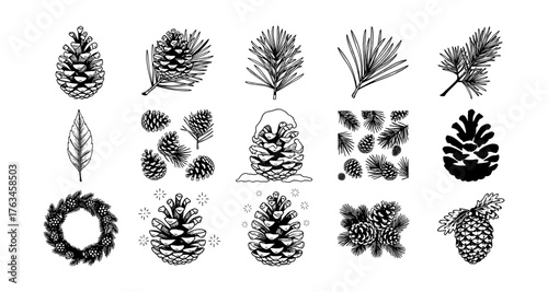 Hand-drawn pine cones and needles collection for natural designs
