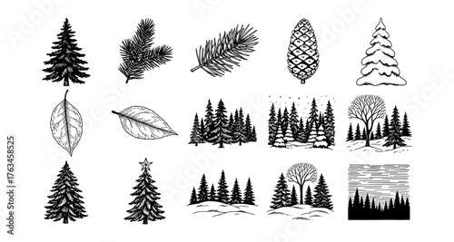 Hand drawn evergreen trees and forest elements collection for nature designs