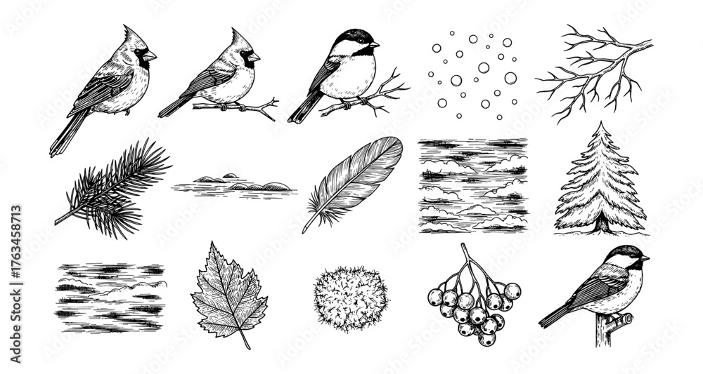 Obraz premium Detailed bird and nature elements collection featuring cardinals and winter branches