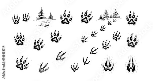Animal paw and hoof prints in snow with pine trees
