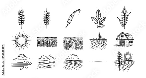 Rustic farm elements: hand drawn wheat, fields, and skies