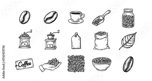 Hand drawn coffee elements including beans, grinder, cup, and leaf illustrations