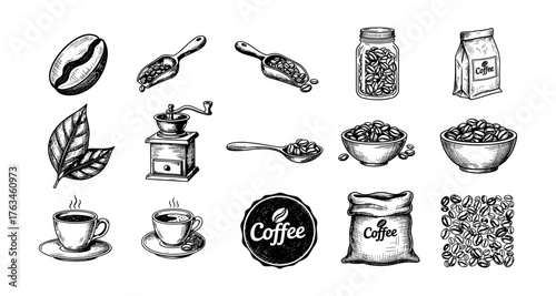 Hand drawn coffee elements: beans, cups, grinders, and leaves in vintage style