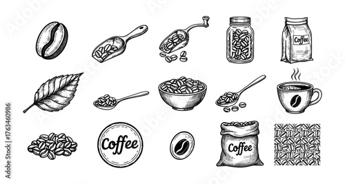 Hand drawn coffee elements collection featuring beans, leaves, and cups