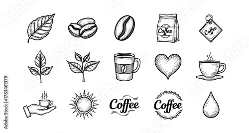 Hand drawn coffee icons set featuring cups, beans, and leaves in vintage style
