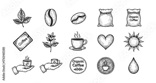 Hand-drawn coffee elements and icons for organic café design