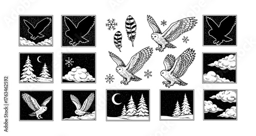 Vintage owl and winter nature collection with stars, snowflakes, and trees in ink style