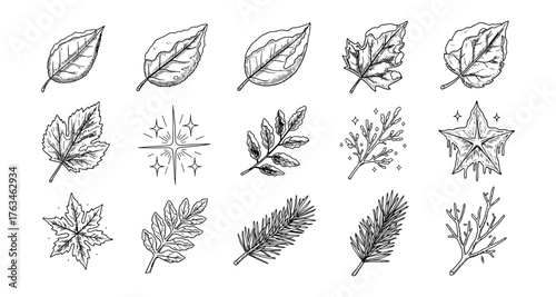 Hand-drawn assorted leaves and nature elements in black and white