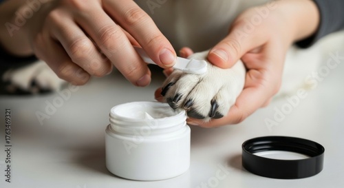 Paw care includes applying soothing cream to dog paws using a cotton swab for skin health