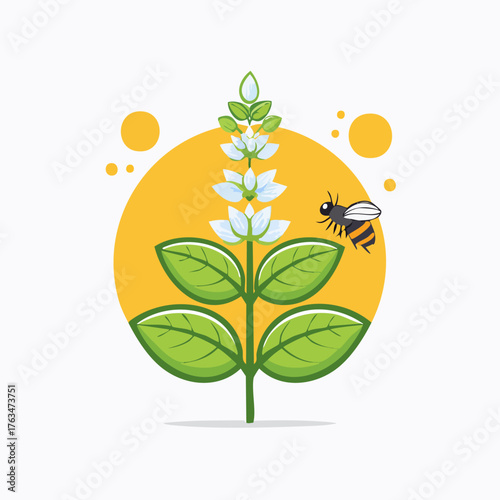 Bee Pollinating Basil Plant with White Flowers Illustration.