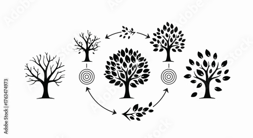 Life cycle of a tree illustrated through seasonal changes and growth stages