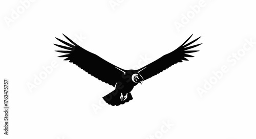 Majestic bird of prey soars with wings outstretched against a clean white background.