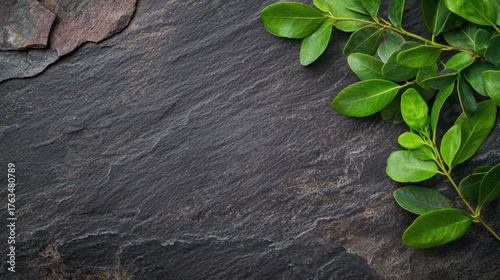Fresh green leaves resting on a dark slate surface, creating a natural and elegant composition for culinary or wellness contexts