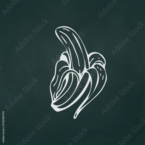 Banana thin white lines on a textural dark background - Vector illustration