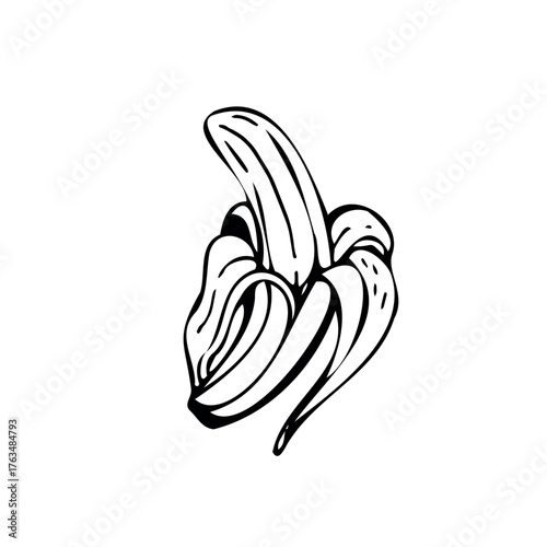 Banana thin black lines on a white background - Vector illustration