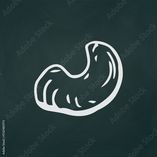 Cashew nut thin white lines on a textural dark background - Vector illustration